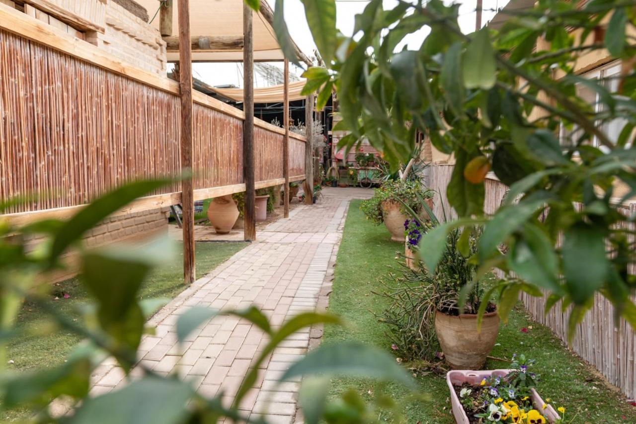 Desert Routes Inn Shvilim Ba Midbar Hazeva 외부 사진