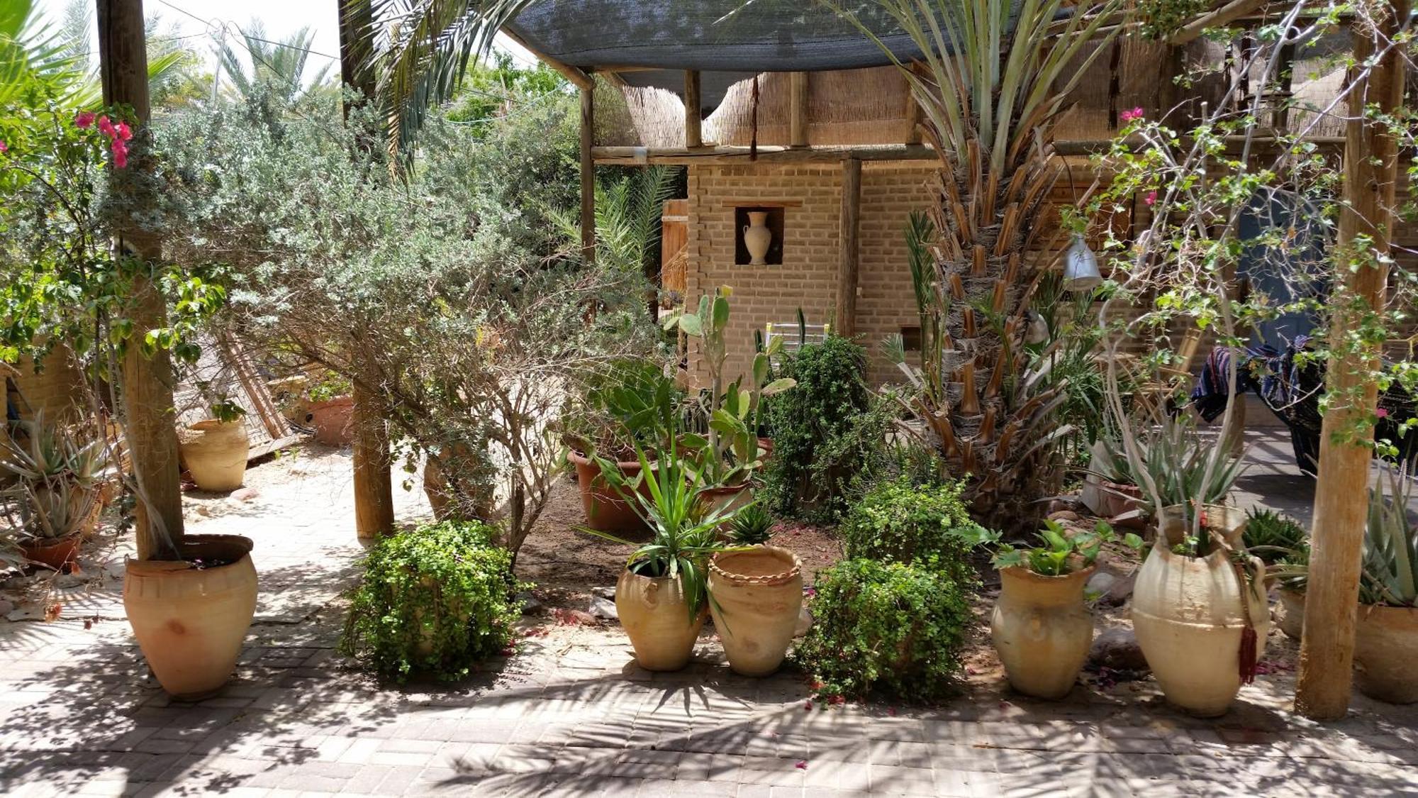 Desert Routes Inn Shvilim Ba Midbar Hazeva 외부 사진